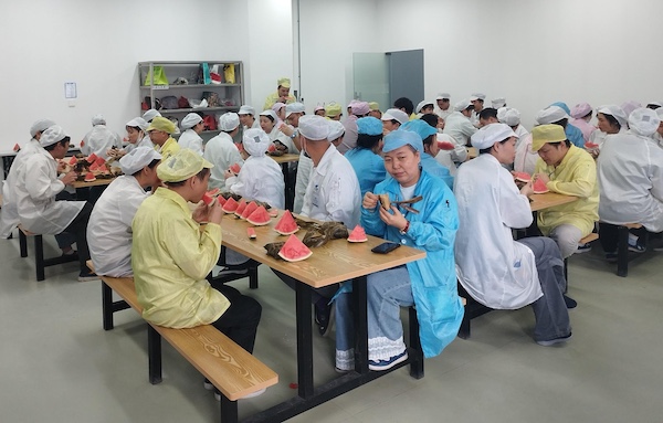 溢洋光电庆端午,情系员工送“粽”福