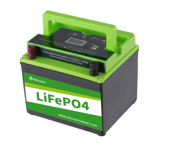 12V/24V LIFEPO4 BATTERY PACK