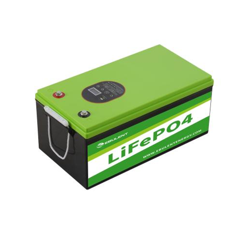12V/24V LIFEPO4 BATTERY PACK