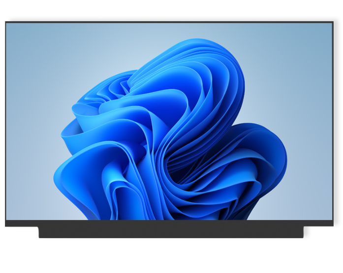 15.6 inch lcd display with high color gamut (HC156IV30030-C60V07)